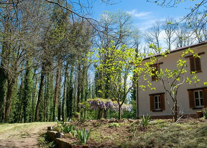 Отель Al Boschetto *